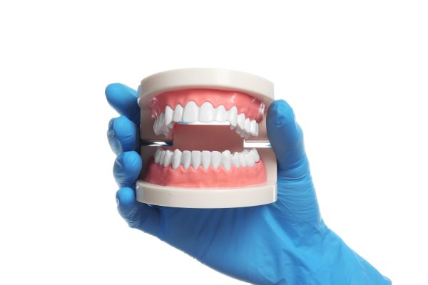 Dentist holding educational model of oral cavity with teeth on white background